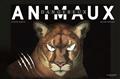 animaux dangereux