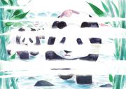 gdvoyage2