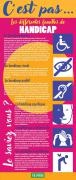 CESTPASHANDICAP-K08-Resume