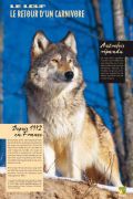 loup-11