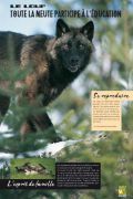 loup-71
