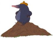 PetiteTaupetetecaca250x178