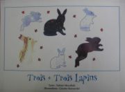 troistroislapinscouv