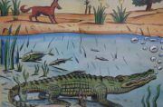 chacalcroco2