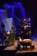 Week-end-fantastiqueConcert-participatif2017byGil-Lefauconnier-1