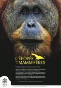 Sepia-bodoni-mammiferes-titre