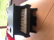 Pianotoro-2